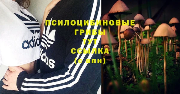 крисы Киреевск