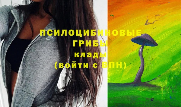 трава Кинешма