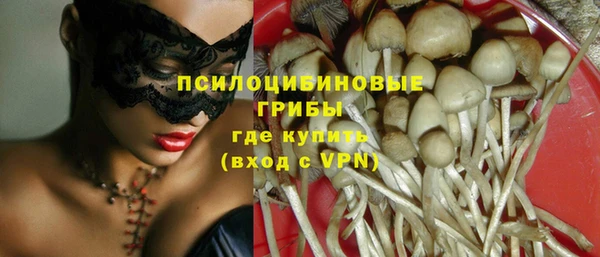 трава Кинешма