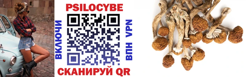 Купить  Еманжелинск  Псилоцибиновые грибы Magic Shrooms 